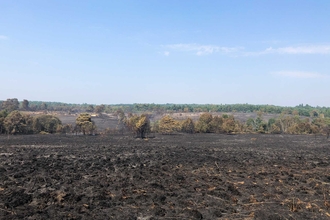 Chobham Common Wildfire