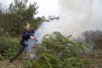 Volunteer conservation trainee burning pine