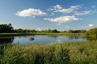 wetlands