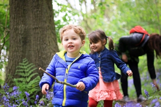 Children exploring wood