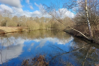 Newdigate Brickworks reserve - a landscape shot of the lake