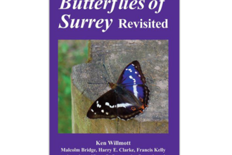 Butterflies of Surrey cover