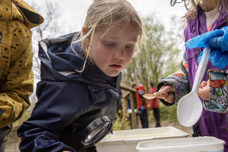 Young child looking at pond creatures close up with a magnifying glass in hand