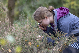 FISC Botanical course