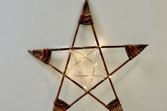 Willow Star