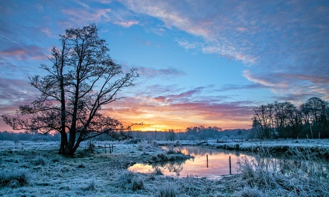 Thundry Meadows