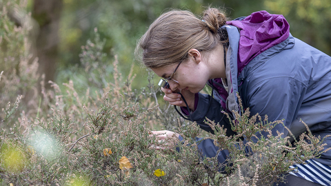 FISC Botanical course