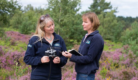 Surrey Wildlife Trust staff working on heath