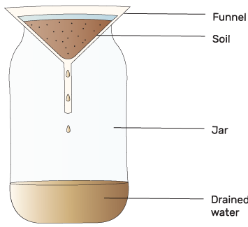 Soil test