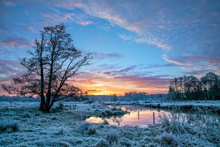 Thundry Meadows