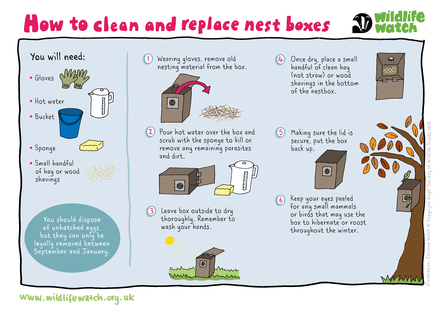 Clean nest boxes