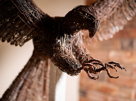 Red Kite sculpture made out of wire