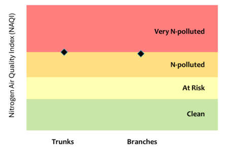 Nitrogen Air Quality Index diagram