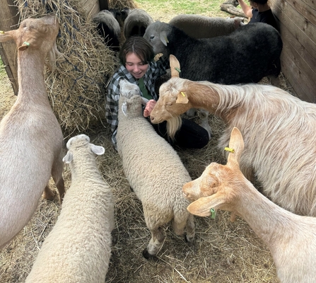 Young person surrounded by goats