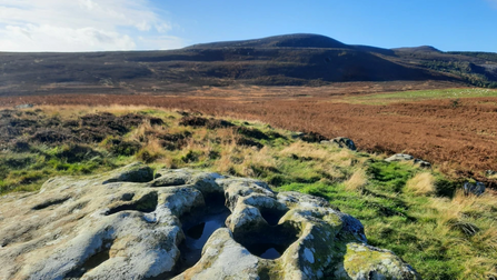 The Rothbury Estate