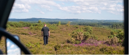 Hankley & Elstead Commons, part of the Heathlands Connections project