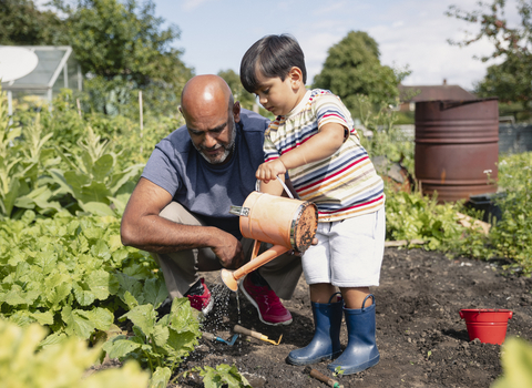 Child watering vegetables