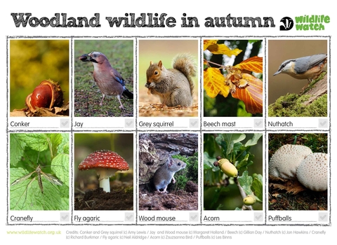 Autumn and Arya  Autumn is - Whitby Wildlife Sanctuary