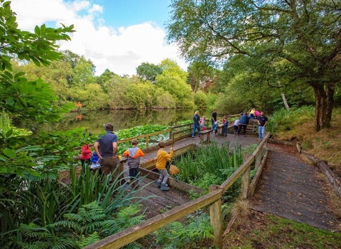 Green landscape and trees with a group of children and staff next to a big pond