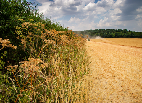 farming wildlife trusts