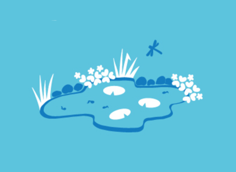 An illustration of a garden pond