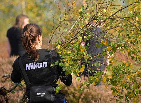 Nikon employee volunteering on reserve